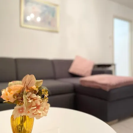 Le Fleur Magnifique Saint-louis *